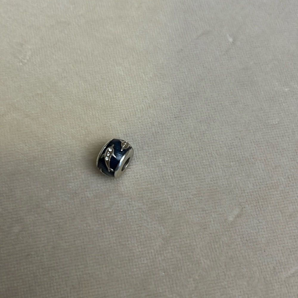 Brighton Dolphin Charm